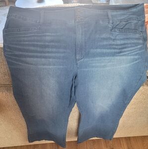 Torrid Women's Blue Jeans